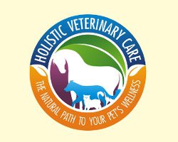 holistic vet